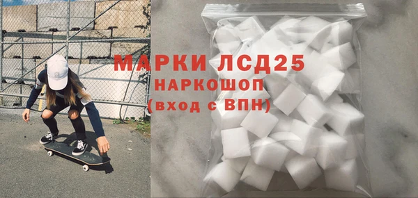СК Инта